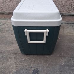 Cooler Coleman