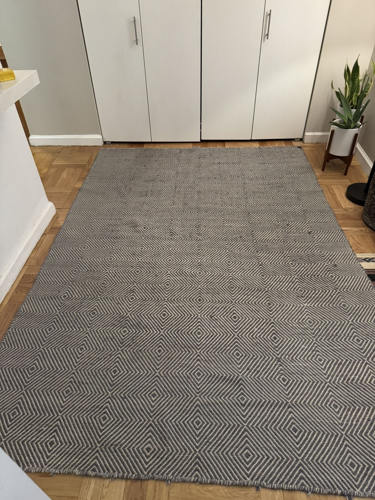 6 X 9 Indoor rug