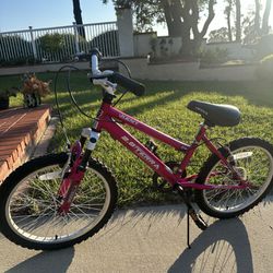 Kids’ Bike - 20 Inches Wheel 