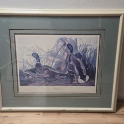 Vtg Framed J.J. Audubon Print-Mallard Duck-Havell No.45 Plate CCXXI-33x37"