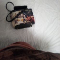 An Old Nice Purse