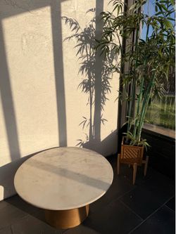 SAFAVIEH Mila Modern Pedestal Coffee Table, White Marble/Brass