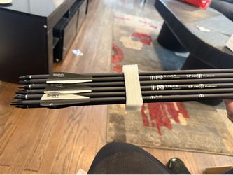12 arrow Set