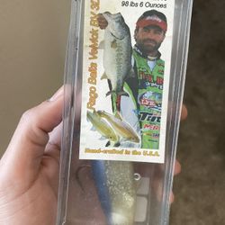 Rago Baits  5” Swimbait Top hook 