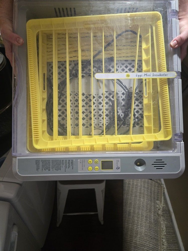 Egg Incubator