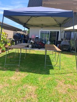 CANOPY & burritos $90