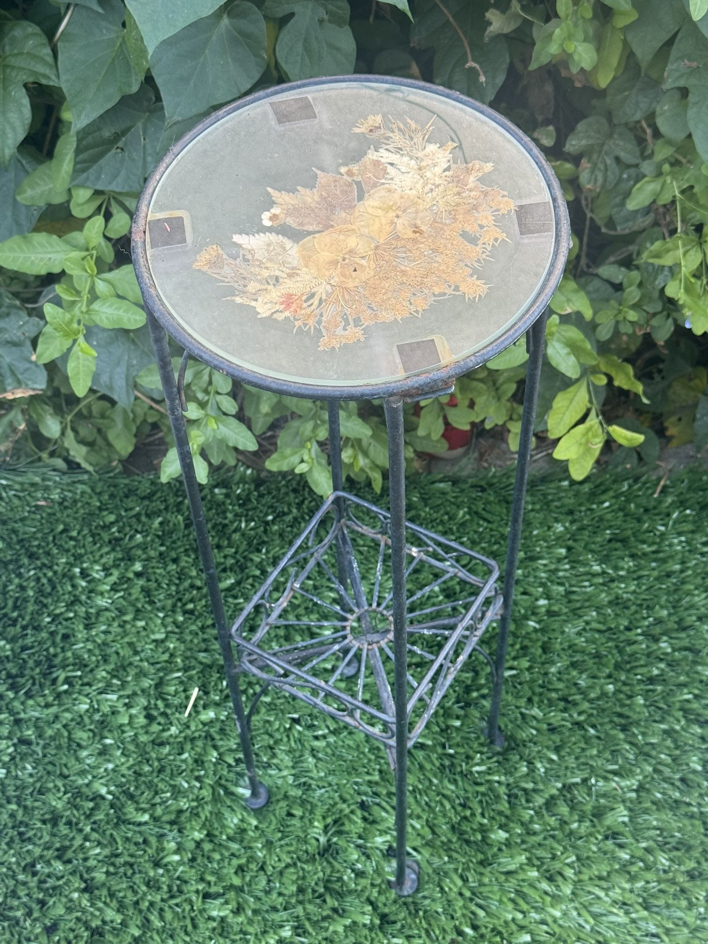 Vintage Very Rare Plant Stand With Tempered Glass Top Encapsulating Leaves/Plants