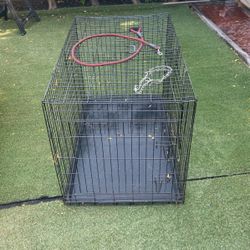 Dog Cage, Collar, Leash Package 