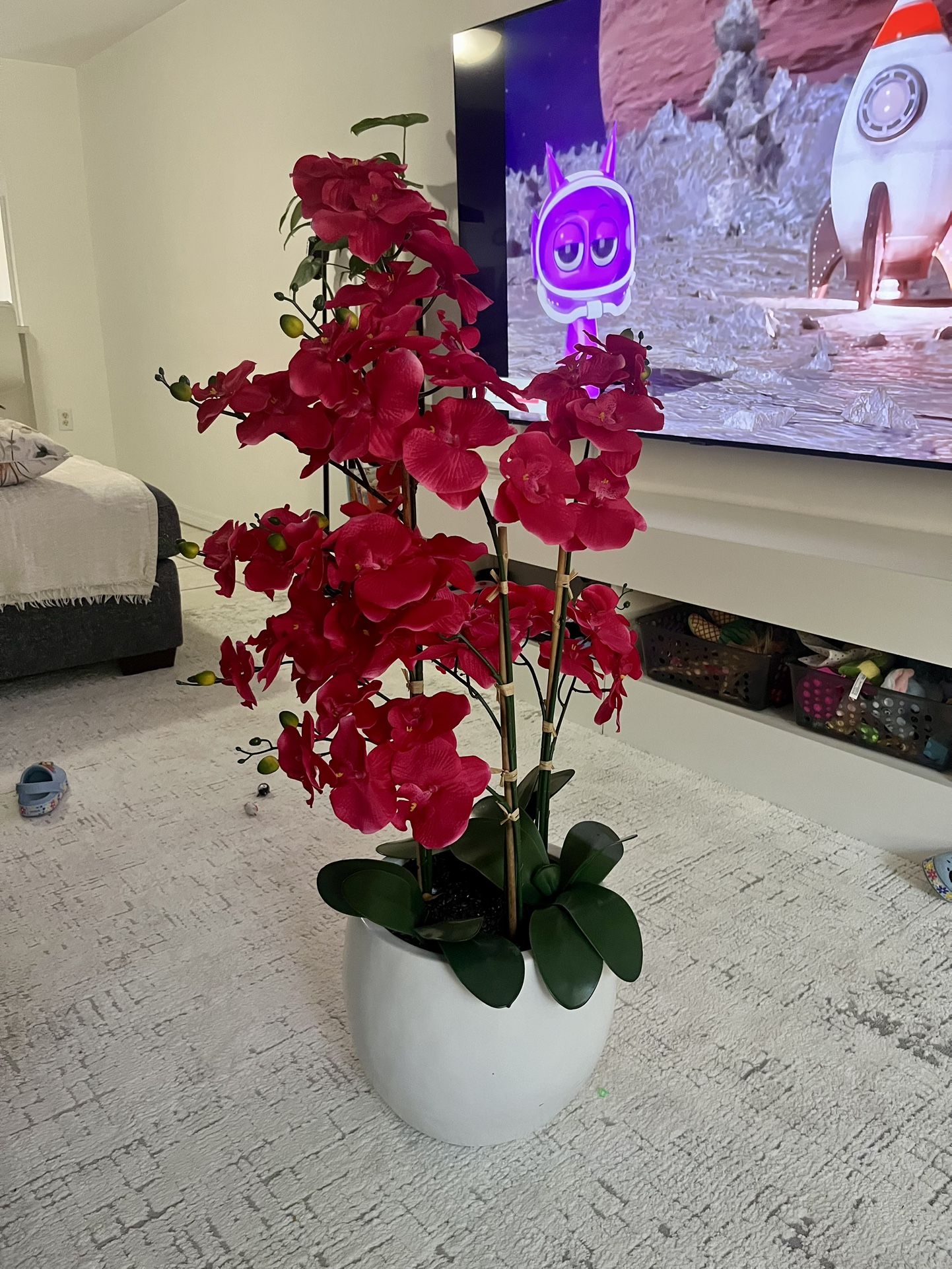 Beautiful Orchid Tall Plant