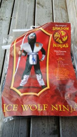 Shadow Ninja costume