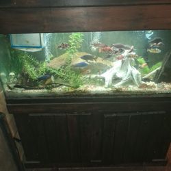 55 Gallon Aquarium With Stained Wood Stand And Canopy Top
