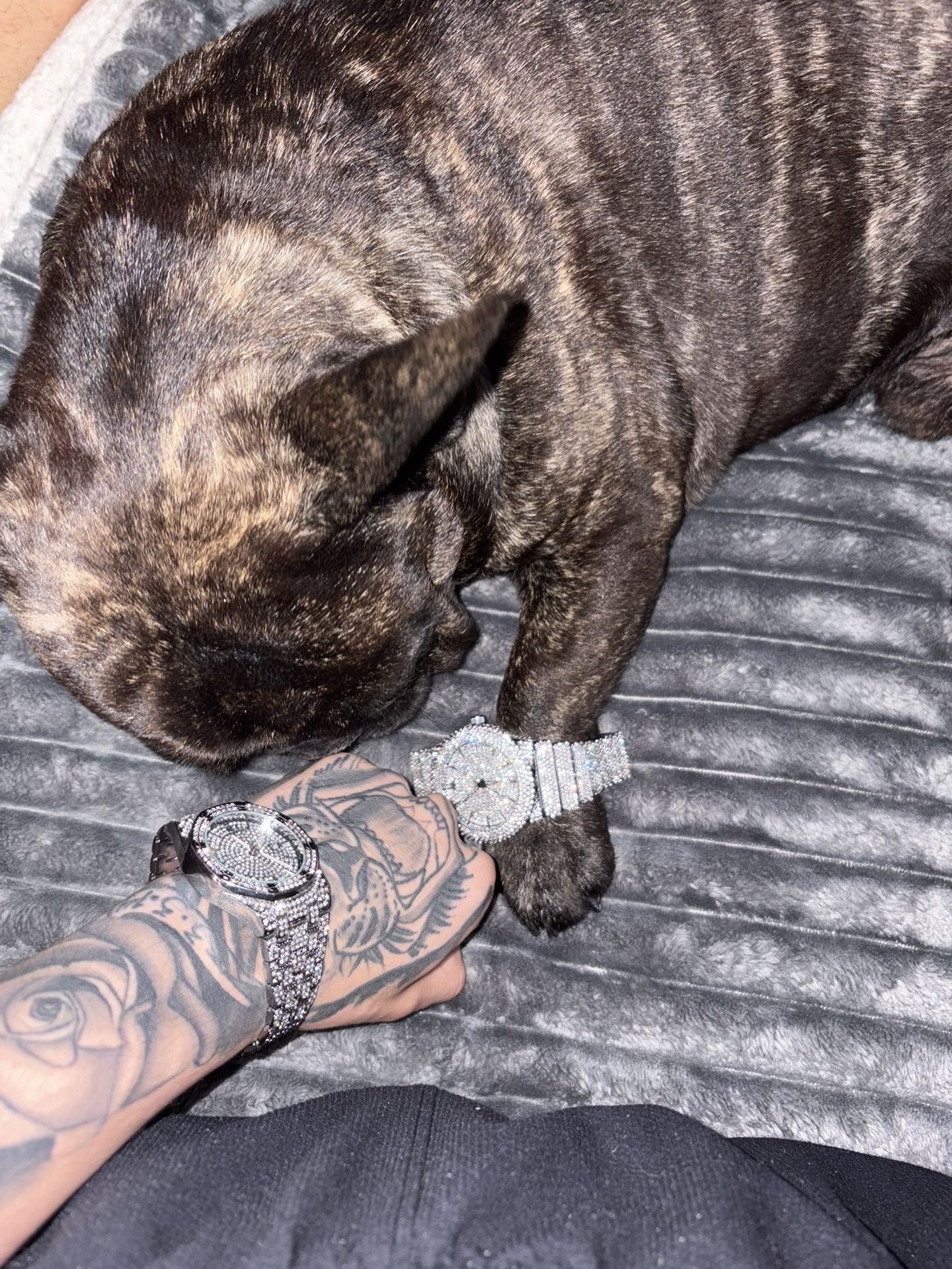 watches