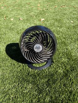 Vornado Fan