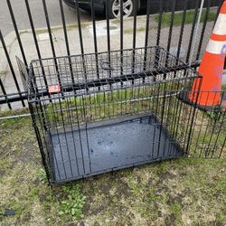 Kennel