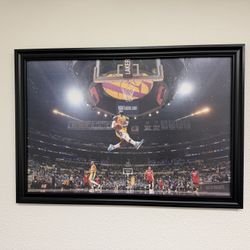 LeBron James Framed Photograph