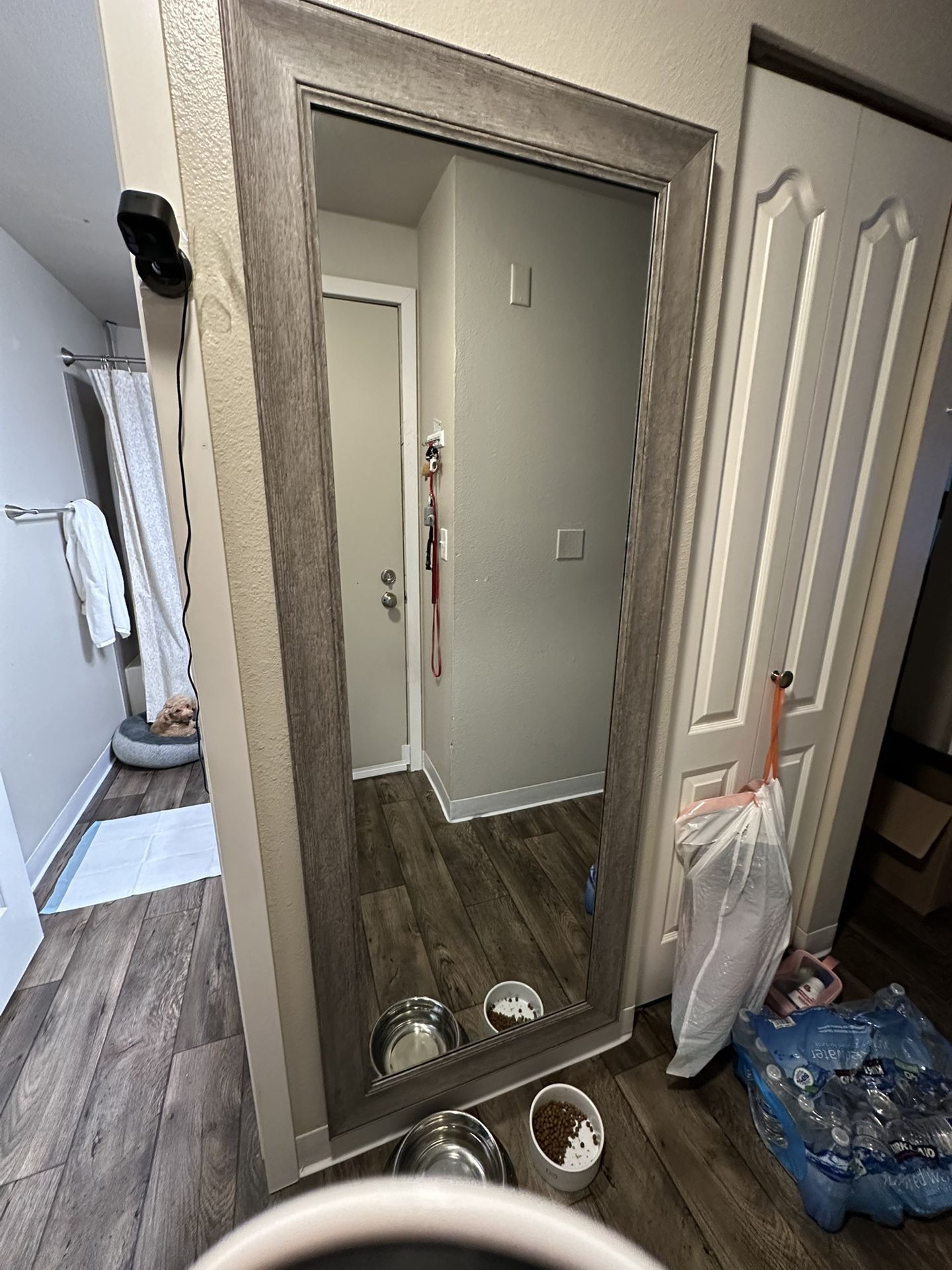 Full Body Mirror