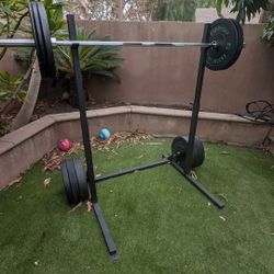 Bumper Plates  370lbs