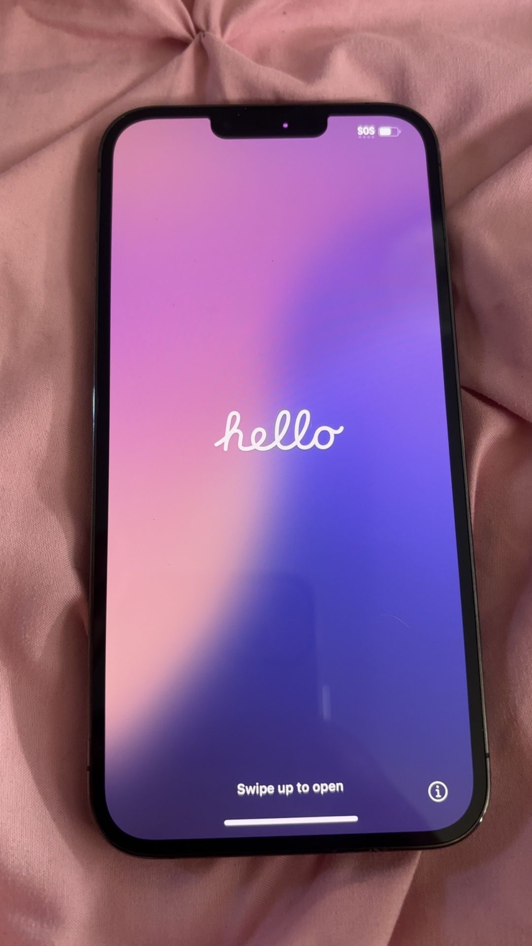 iPhone 13 Pro Max