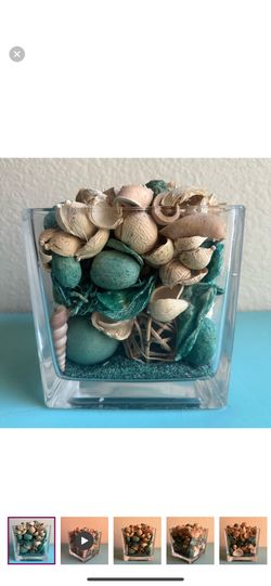 Decorative Glass Vase with Natural Accents, used once, great condition