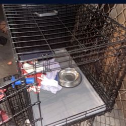 Dog Cage