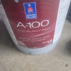 Exterior A100 Paint