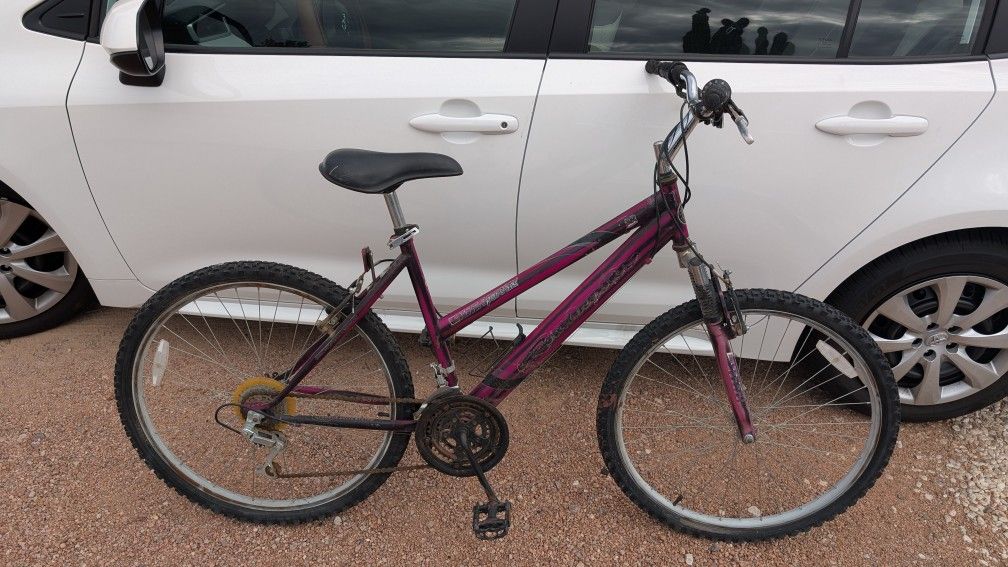 Mountain bike Roadmaster, 26-in tires, 18 speed, 19-in frame