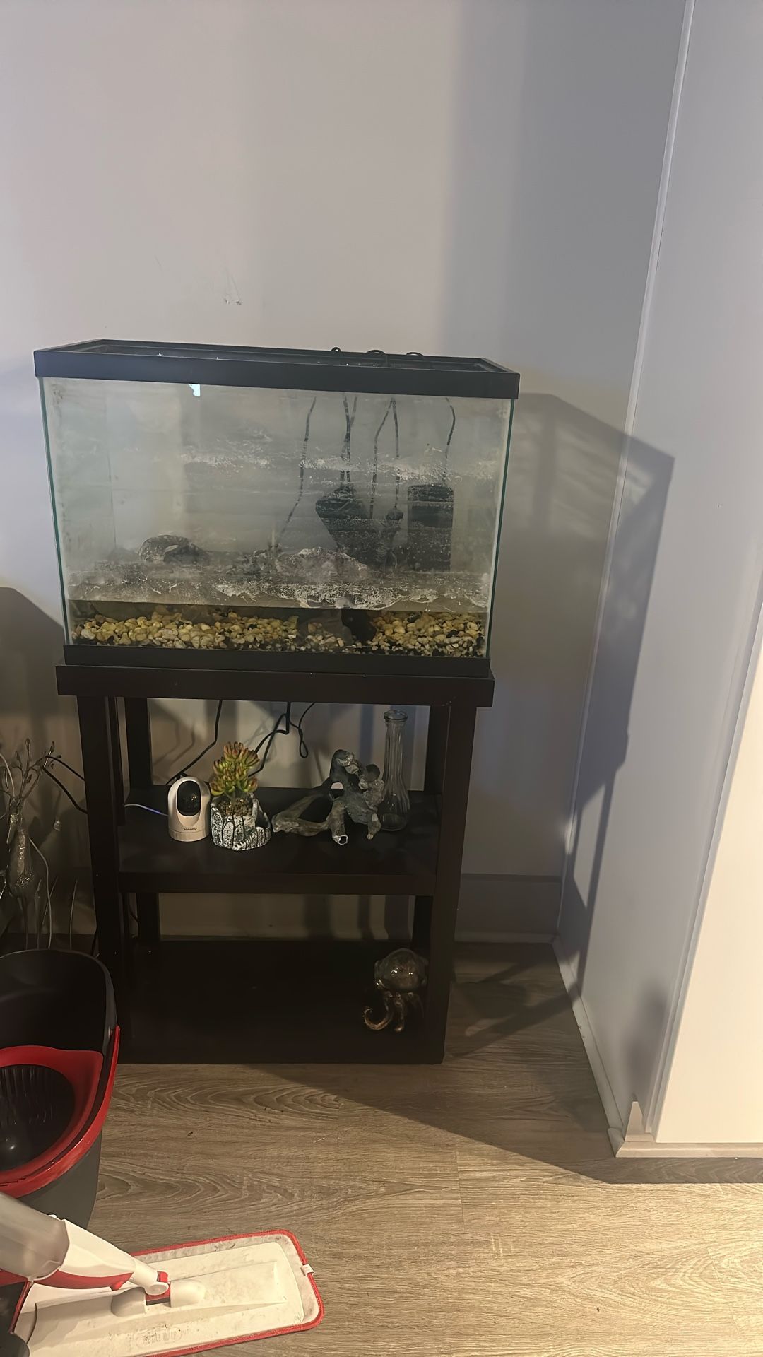 20 gallon aquarium and Stand