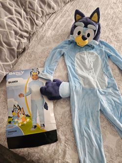 Bluey costume