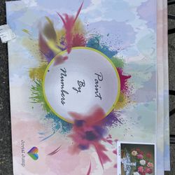 Large Paint By Numbers 