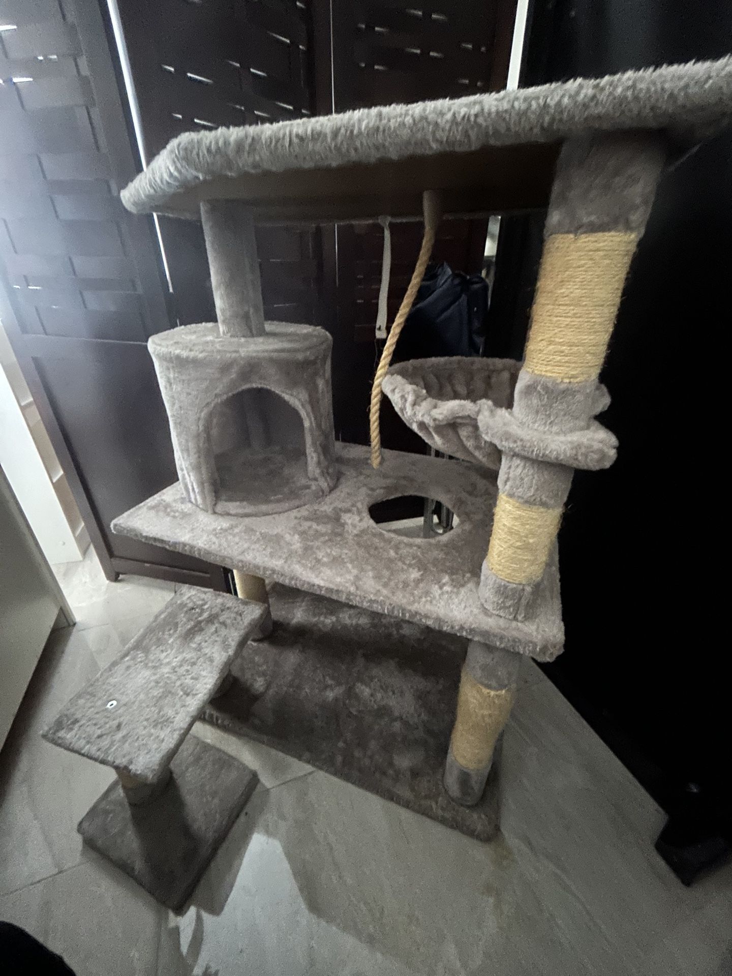 Cat Tree And Food