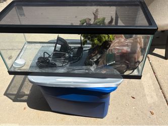 Reptile Tank.  Light. Tree all for $60