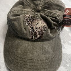 Borrego Springs Mountain Lion Dad Hat