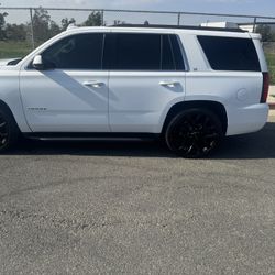 Thaho Blanca Interior 