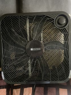 Fan 
