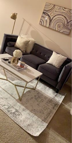 Gray Velvet Sofa Set