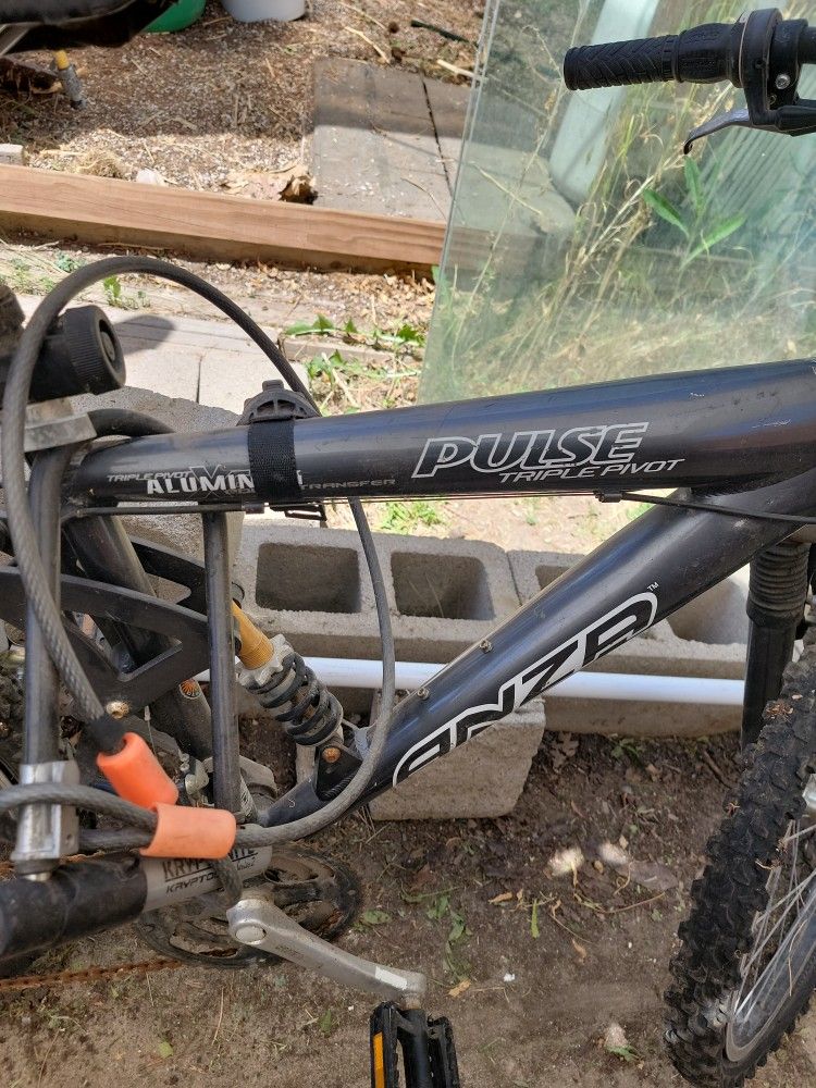 Pulse Anza Mountain Bike 20