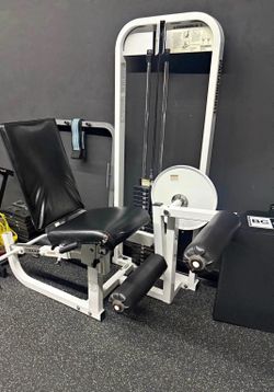 Paramount leg extension/leg curl