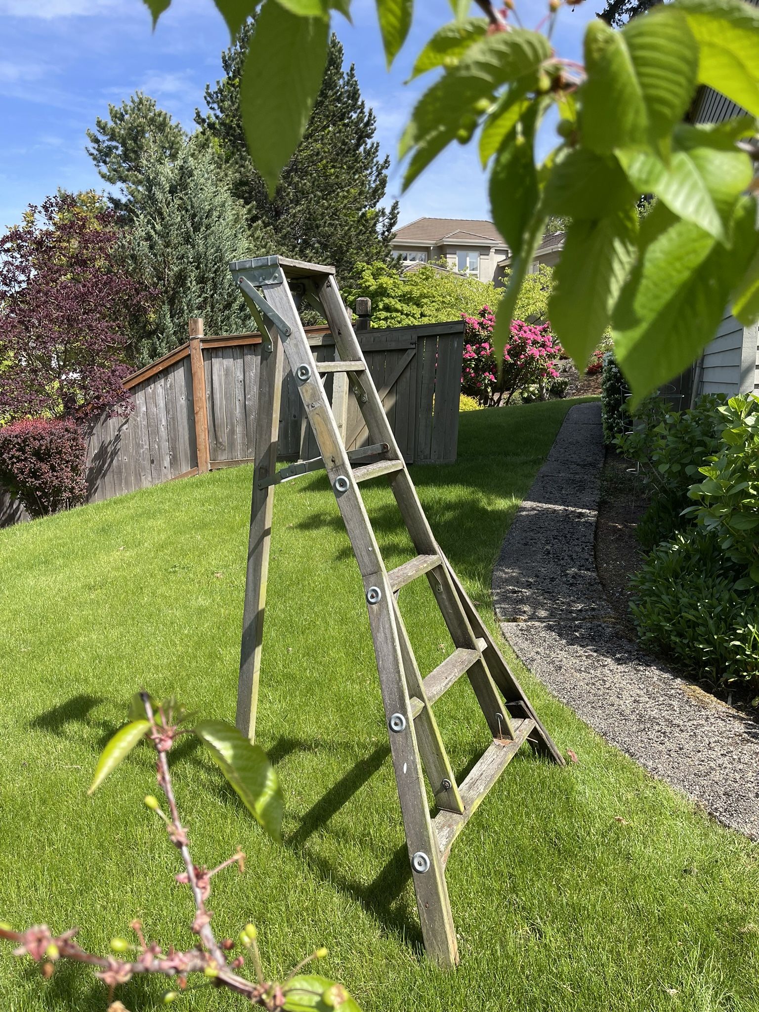 Sturdy Ladder For Cheap