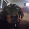 Ellie