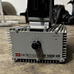 EYE HORTILUX DE 1000-VS Grow Light System
