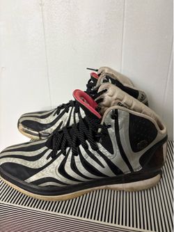 Zebra D Rose