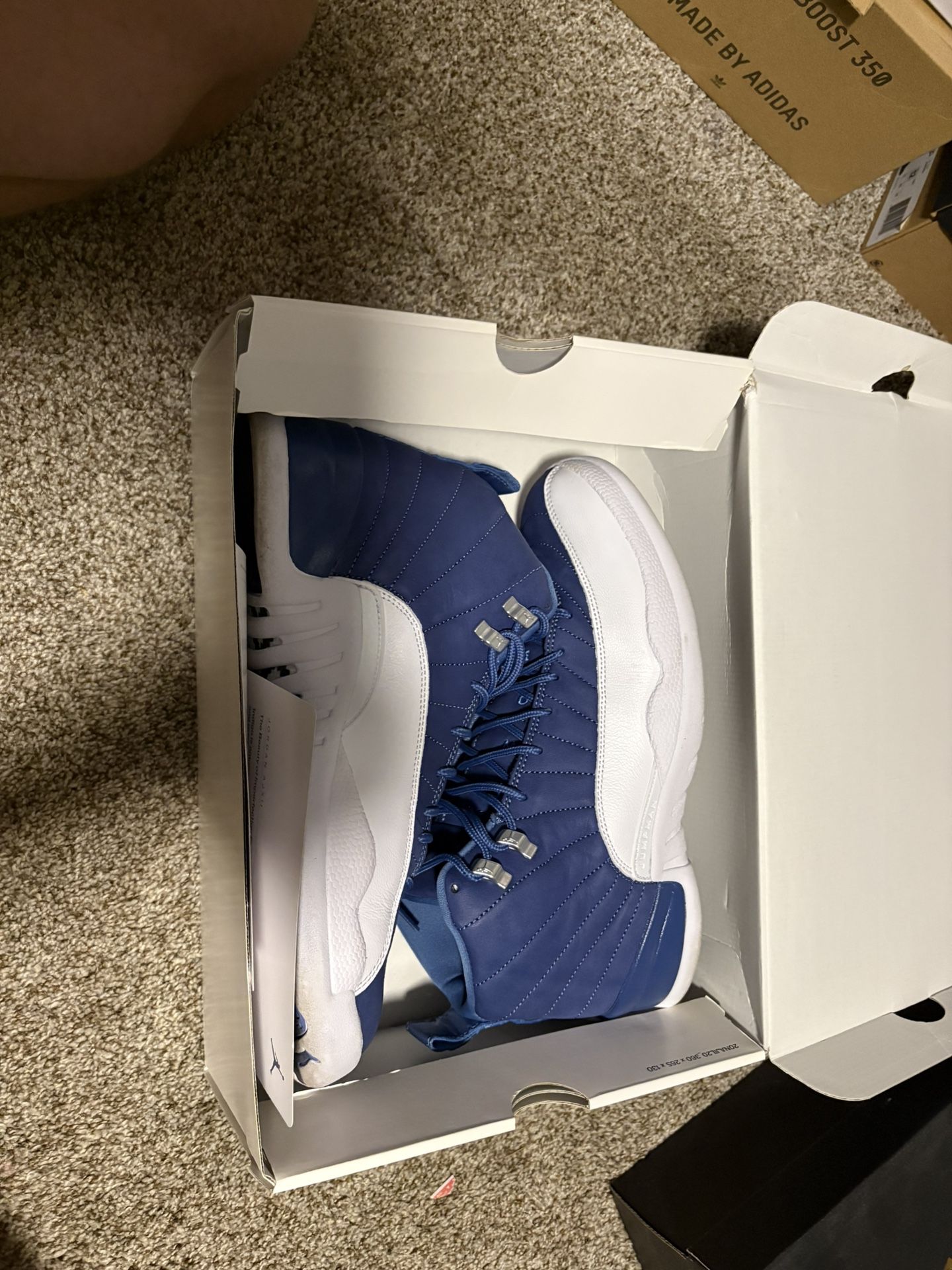 Jordan 12 Indigo
