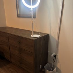 LED Ring Light with Stand
