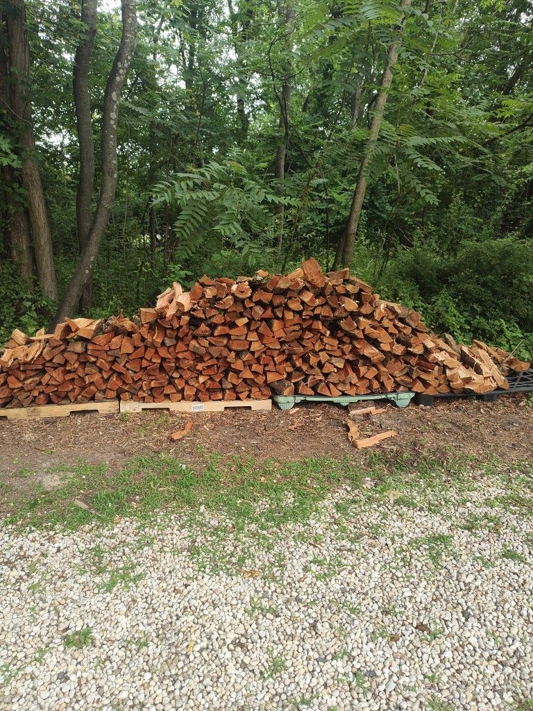 Cherry Wood (Seasoned)