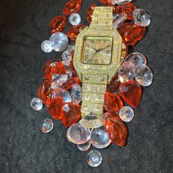 Executive rapper, CEO, King or queen unisex lab ice valentine