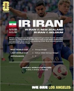 Two (2) 2026 FIFA World Cup Hospitality Tickets – Belgium vs. IR Iran at SoFi Stadium