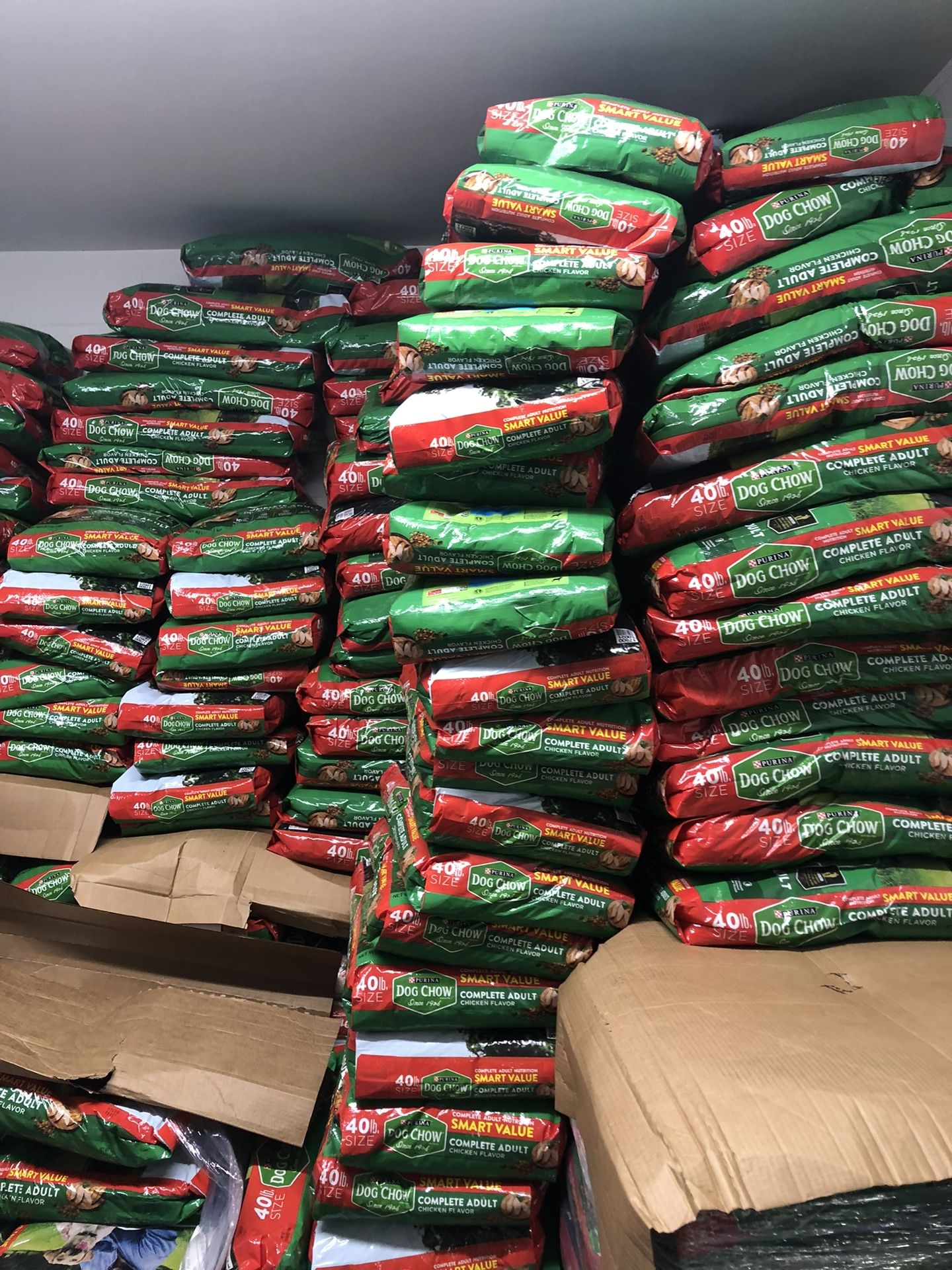 Dog Food!