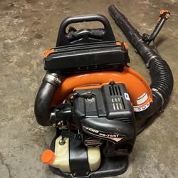 Echo Leaf Blower 