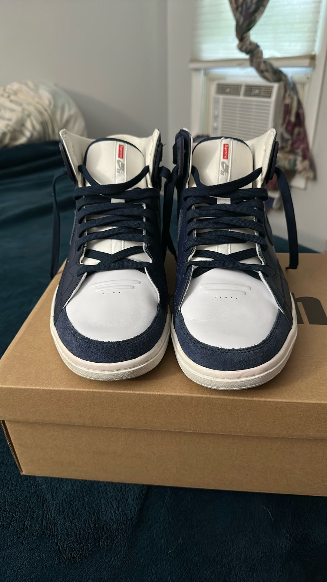 Nike 2010 Zoom 94 Supreme Sb Size 13