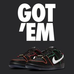 Nike SB Dunk Low Pro - Bronx Girls Skate - New - Size 9 - Snkrs App Drop -